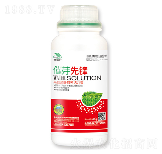 ݱ�~�I�B(y��ng)������-��ѿ���h-ʥ��ʘI(y��)