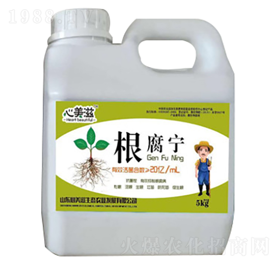 ������-������