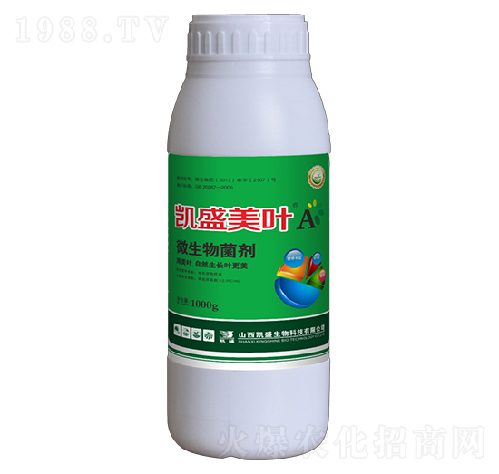 ΢�������-���~A-�Pʢ�ʘI(y��)