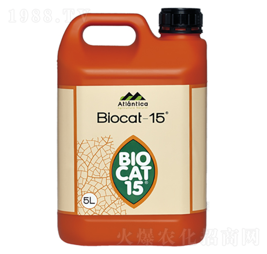 �M(j��n)������̼���-����Ƽ�