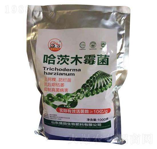 ����ľù��-ʢ������