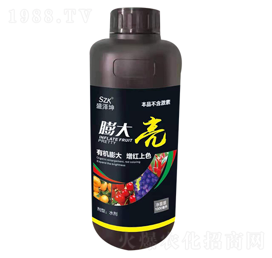 �����-ʢ����