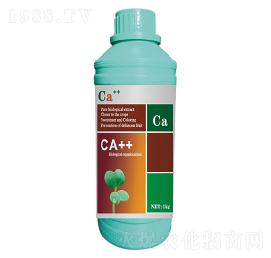 �����ЙC���}��-�Ǵ��}-����S