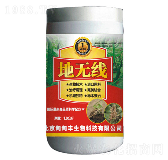 ���θ��Y���x-�؟o��-����S