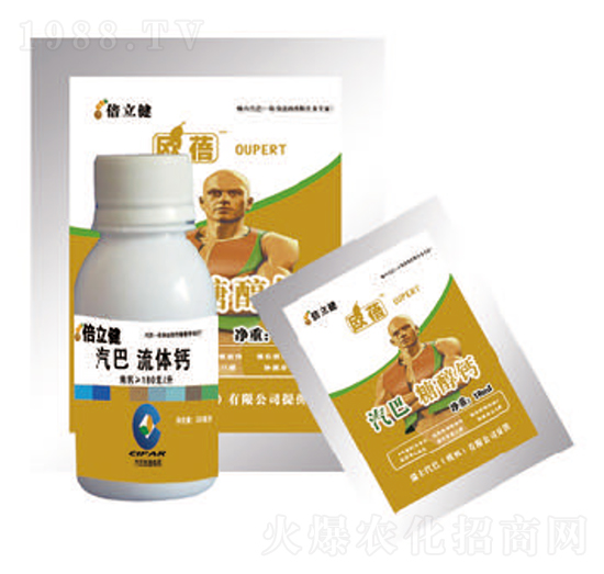 ���w�}-������-�����r�I(y��)