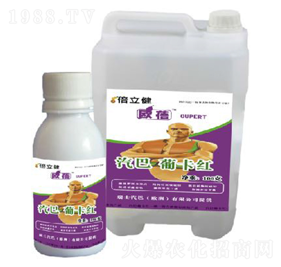 �Ͽ��t-������-�����r(n��ng)�I(y��)