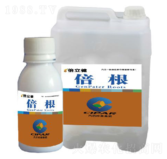 ����-������-�����r(n��ng)�I(y��)