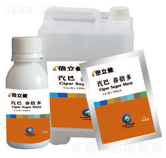 �B(y��ng)����-������-�����r(n��ng)�I(y��)