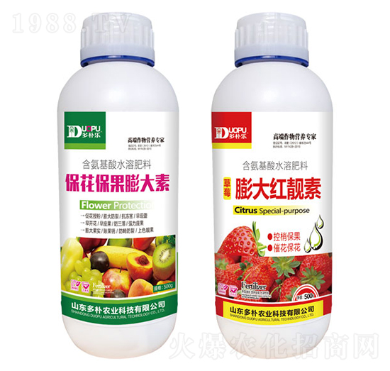 �������������+���t�n��-�����Ƽ�