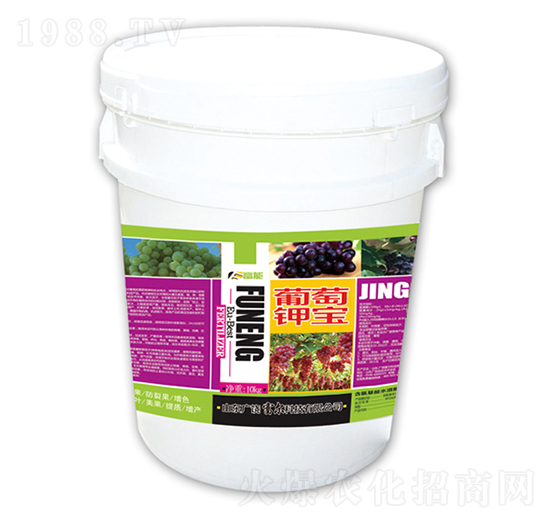 ����⛌�-�����Ƽ�