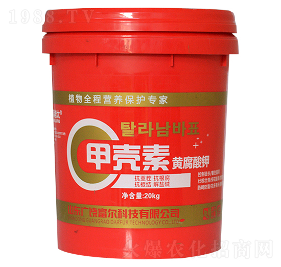 �ך����S�����-�����Ƽ�