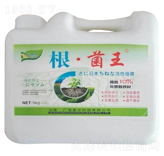 ��������-�����Ƽ�