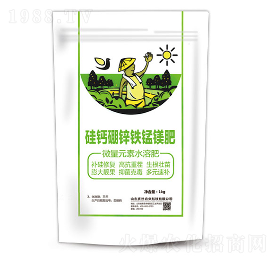 ���}���\�F�i�V��-�����Ƽ�