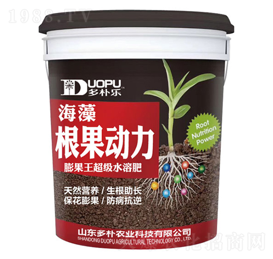 ��������-�����Ƽ�