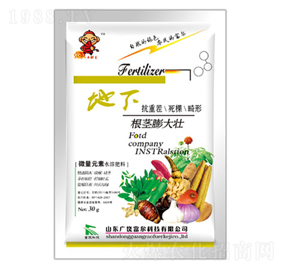 ���¸��o����-�����Ƽ�