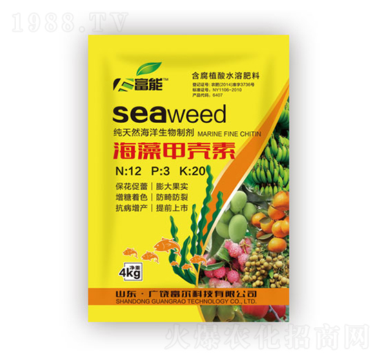 ����ך���-�����Ƽ�