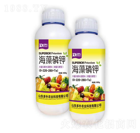 �������-�����Ƽ�