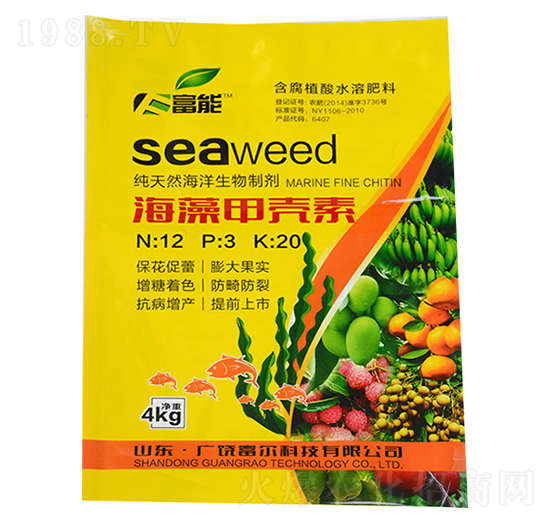 ����ך���-����-�����Ƽ�