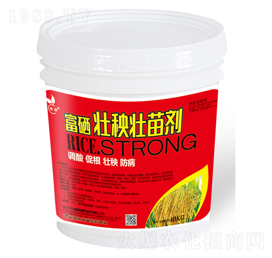 ����������焩-��˲