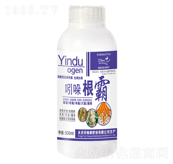 �������-��˲