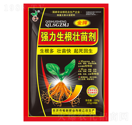 �����������焩-��˲