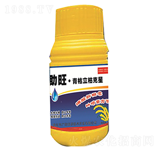 ������ݿ���-����-�V��