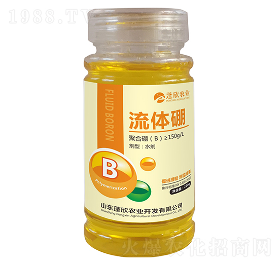 ���w��-�����r�I(y��)