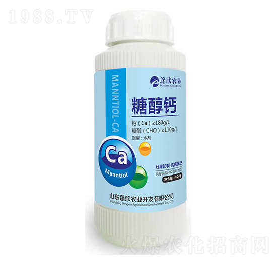 �Ǵ��}-�����r�I(y��)