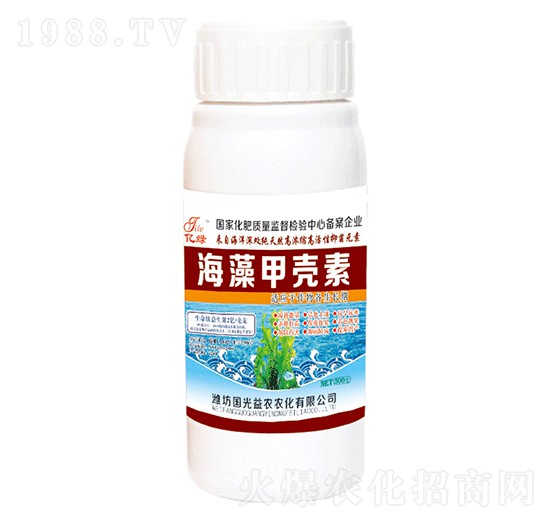 ����ך���-��(gu��)�����r(n��ng)