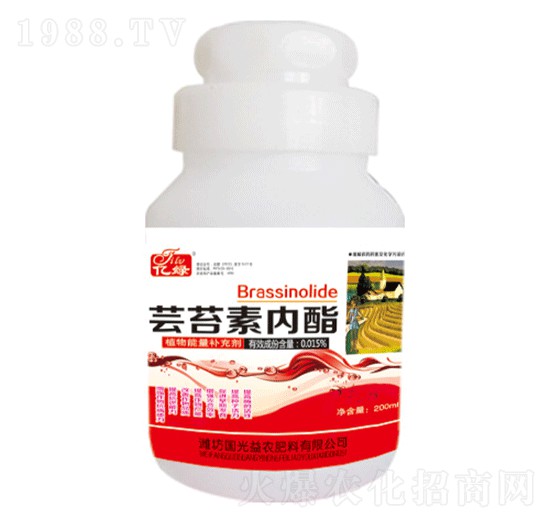 200ml�|̦�؃�(n��i)��-�������r(n��ng)