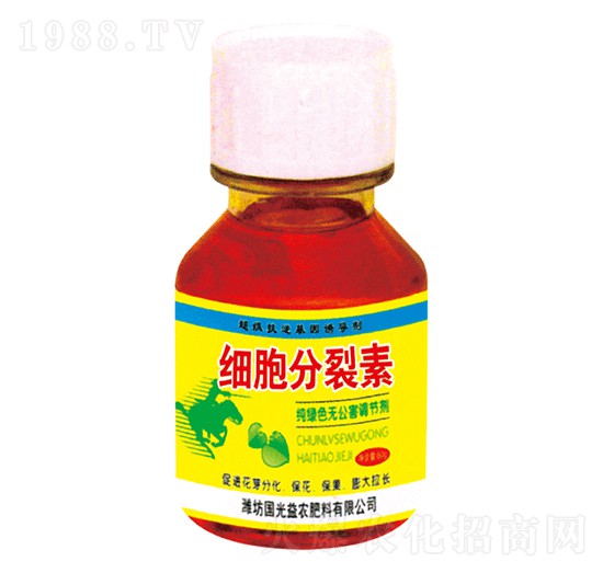 60g��(x��)��������-��(gu��)�����r(n��ng)