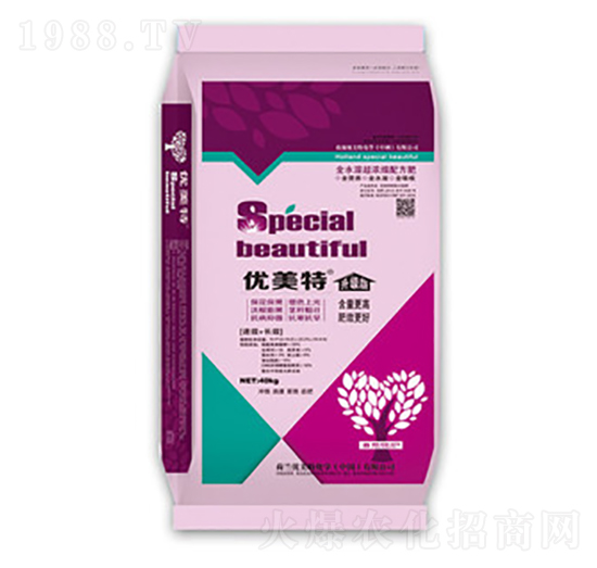 ���������L�l(f��)����-��(y��u)����-����r(n��ng)�I(y��)