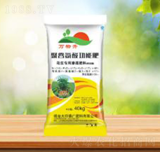 �۹Ȱ��Ṧ�ܷ�-ʢ�A�r(n��ng)�I(y��)