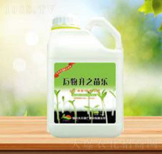 �f(w��n)����֮�瘷(l��)-ʢ�A�r(n��ng)�I(y��)