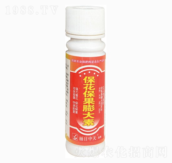 �������������-����ʘI(y��)