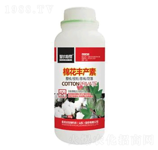 �޻��S�a(ch��n)��-���_