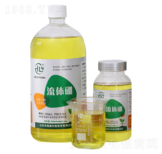 ���w��-�̾GԴ