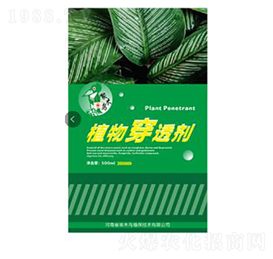 ֲ�ﴩ͸��-��ľ�B(ni��o)