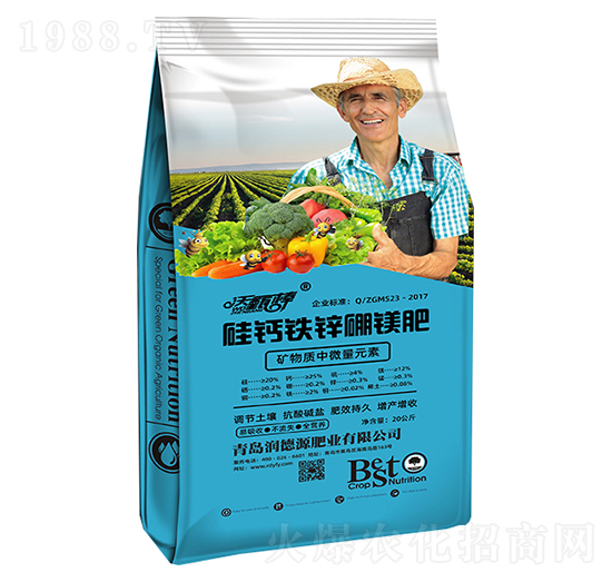 ���}�F�\���V��-�����-����Դ�ʘI(y��)