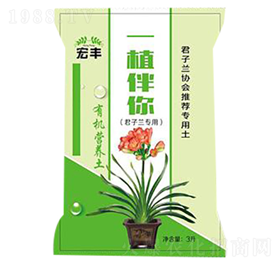 �����m���ü�ͥ�@ˇ�ЙC(j��)�I�B(y��ng)��-һֲ����-���S