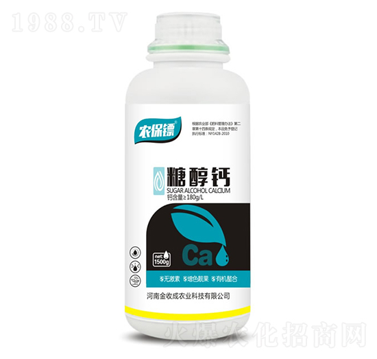 �Ǵ��-�r���S-���ճ�