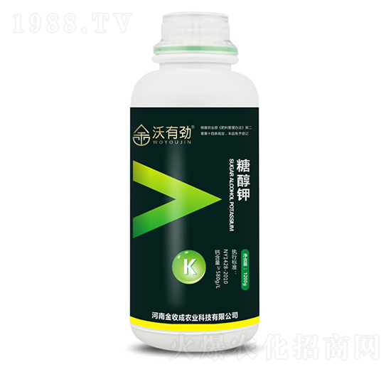 �Ǵ��-���Є�-���ճ�