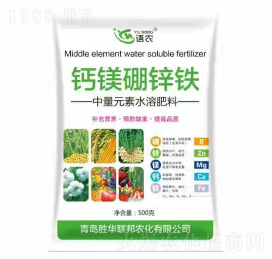 �}�V���\�F-�Z(y��)�r(n��ng)-���A(li��n)��