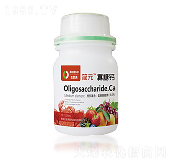 �����}-��(ji��n)Ԫ��ƿ��-������