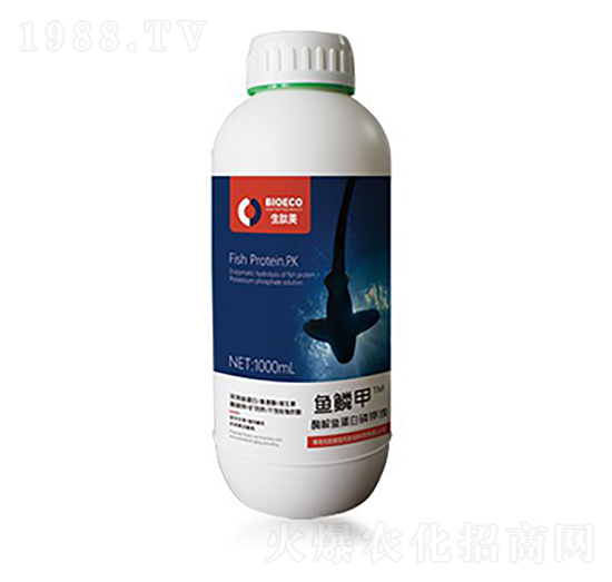 �~ӯ�T-�~�[��-������