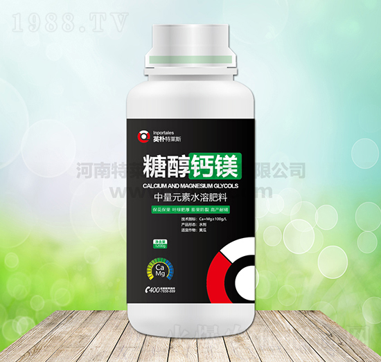 �Ǵ��}�V-Ӣ�����R˹