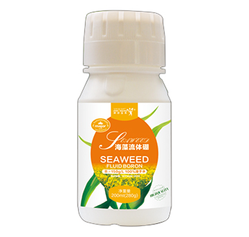 ϲ�r(n��ng)���w��-(li��n)��ϲ�r(n��ng)