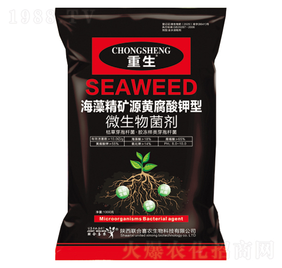 ���徫�VԴ�S�������΢�������-����-��ϲ�r