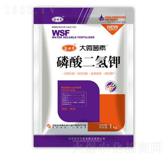 ��������-��؁�(l��i)��΢����-�����