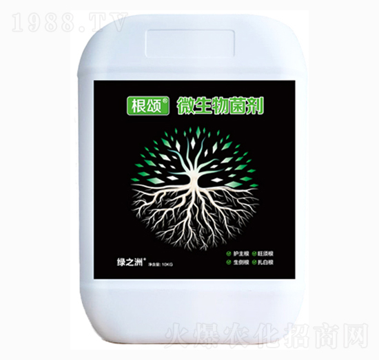 ΢�������-���-�G֮��